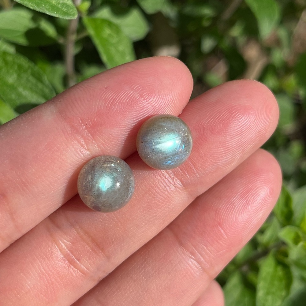 Elegant Gray Stud Earrings